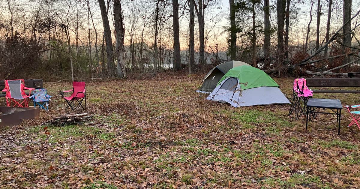 Cypress Black Bayou Recreation Area photo 3