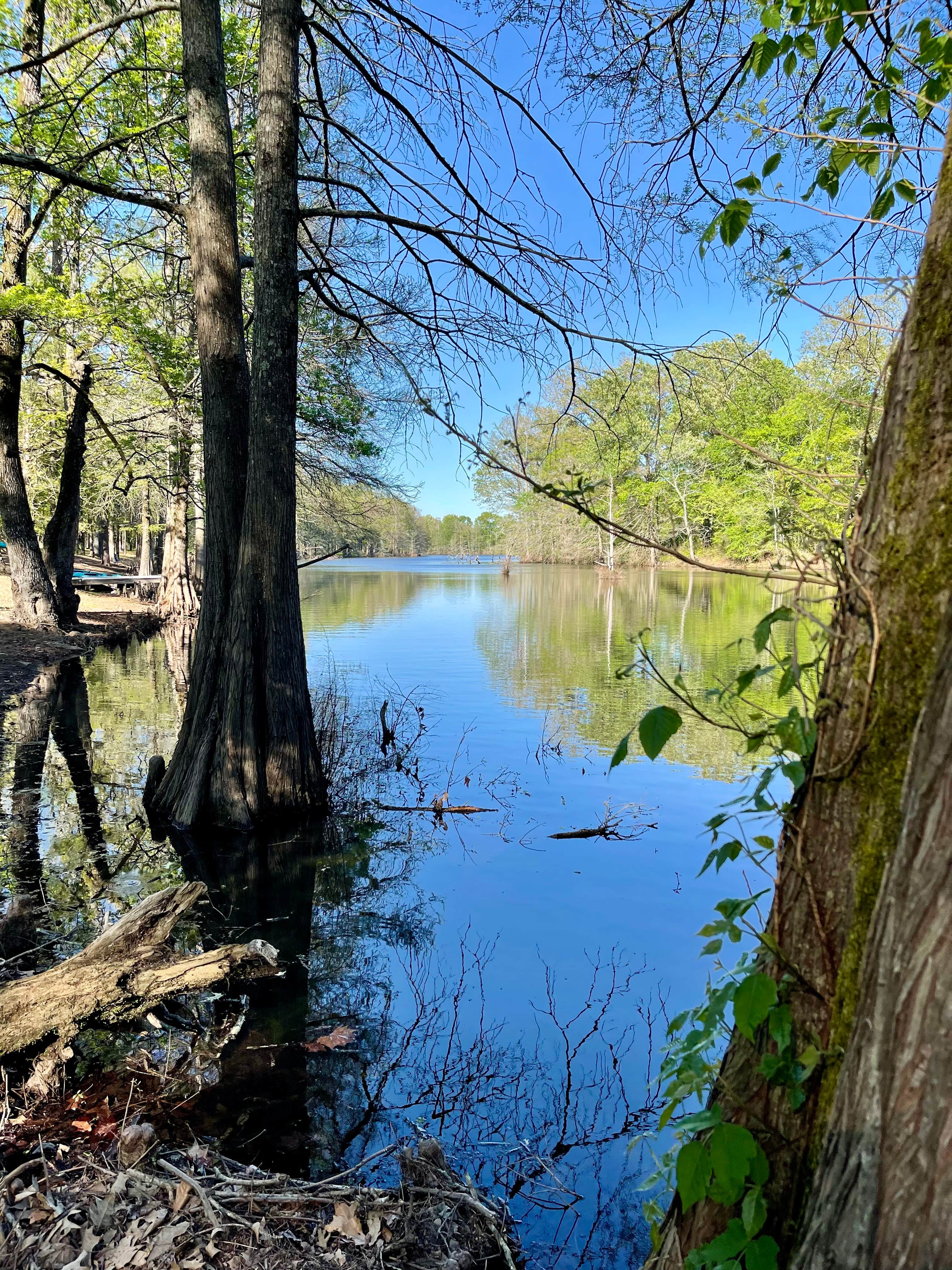 Camper-submitted photo at Chemin-A-Haut State Park near Pioneer, LA