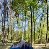 Review photo of Chemin-A-Haut State Park by Taylor T., April 18, 2024