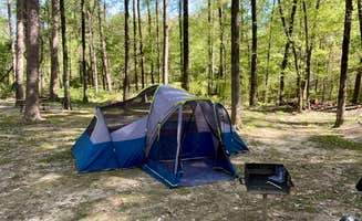 Taylor C.'s photo at Chemin-A-Haut State Park near Monroe, LA