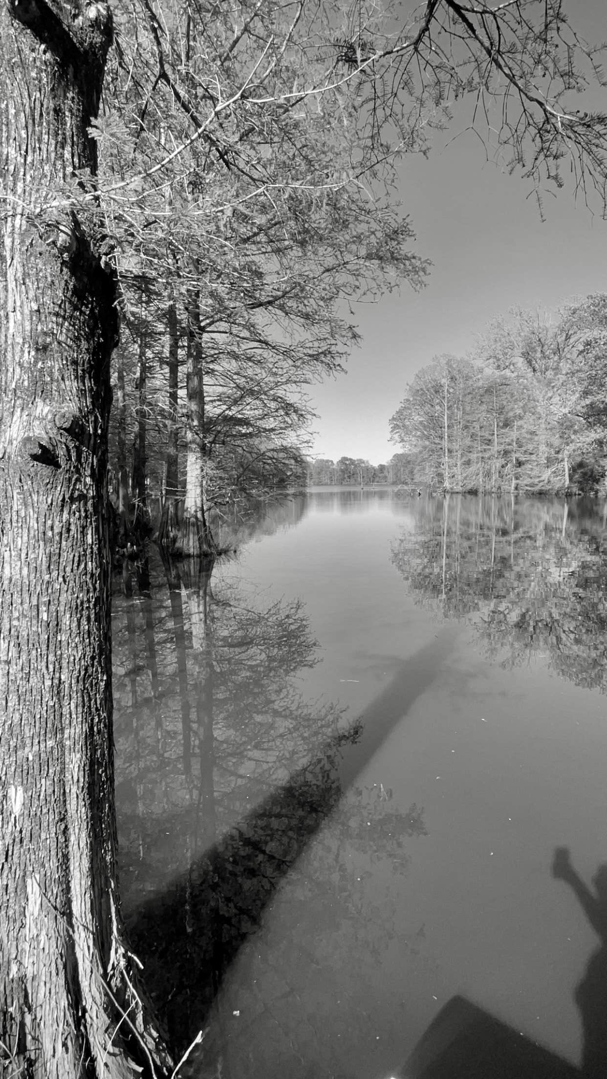 Camper-submitted photo at Chemin-A-Haut State Park near Pioneer, LA