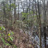 Review photo of Corney Lake South Shore Campground by Brandon R., March 19, 2024