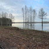 Review photo of Corney Lake South Shore Campground by Brandon R., March 19, 2024