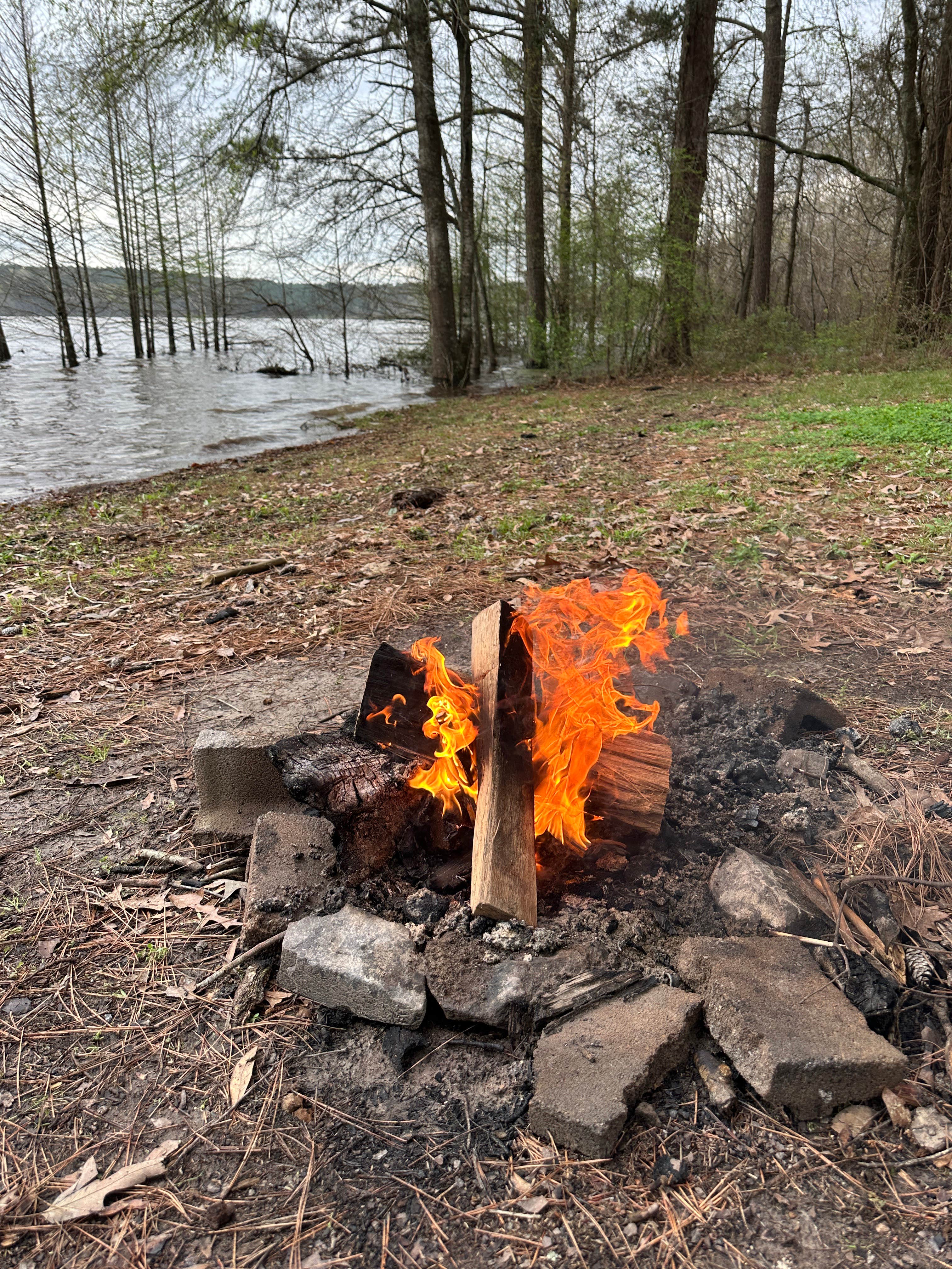 Camper-submitted photo at Corney Lake South Shore Campground near Bernice, LA