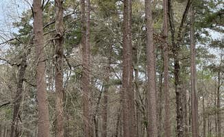 Brandon R.'s photo at Corney Lake South Shore Campground near Bastrop, LA