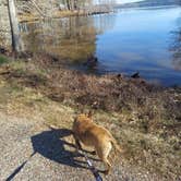 Review photo of Corney Lake South Shore Campground by Lea B., March 7, 2024