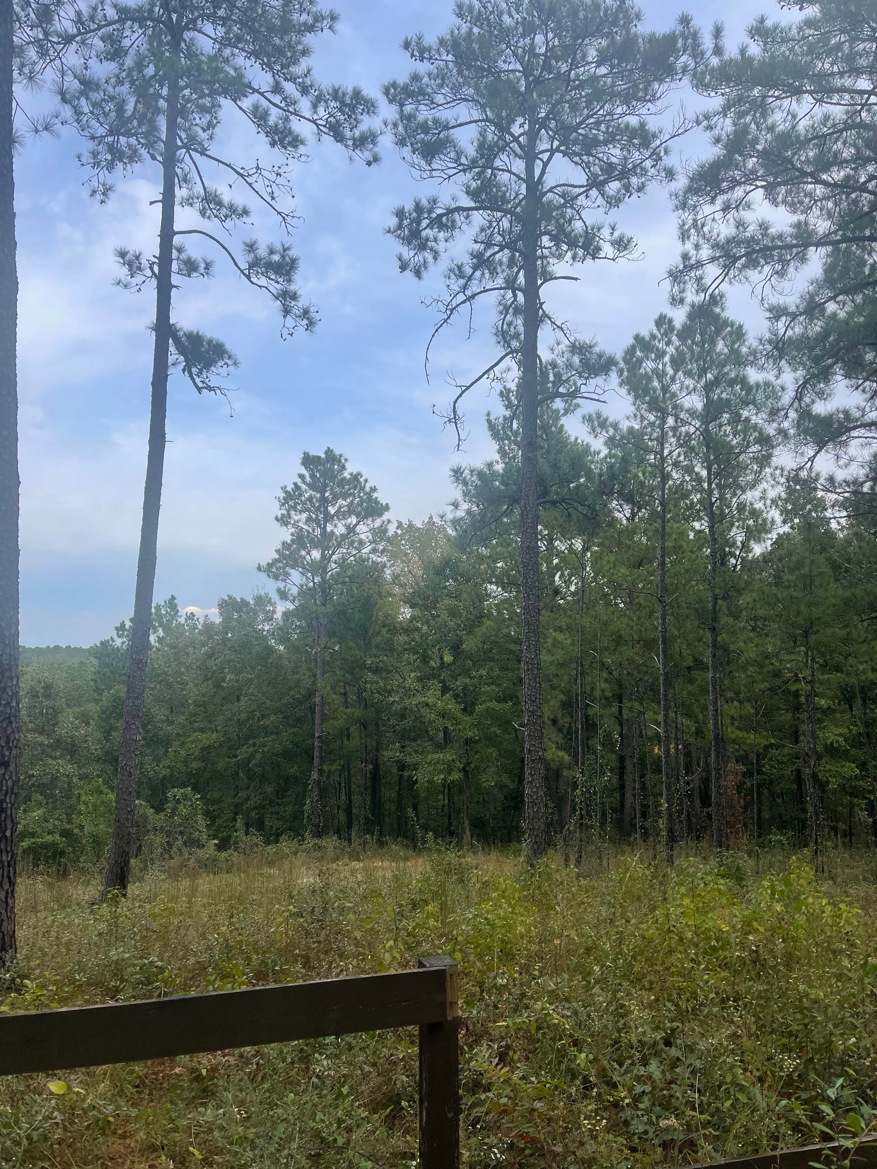 Camper-submitted photo at Coyote Camp near Lecompte, LA