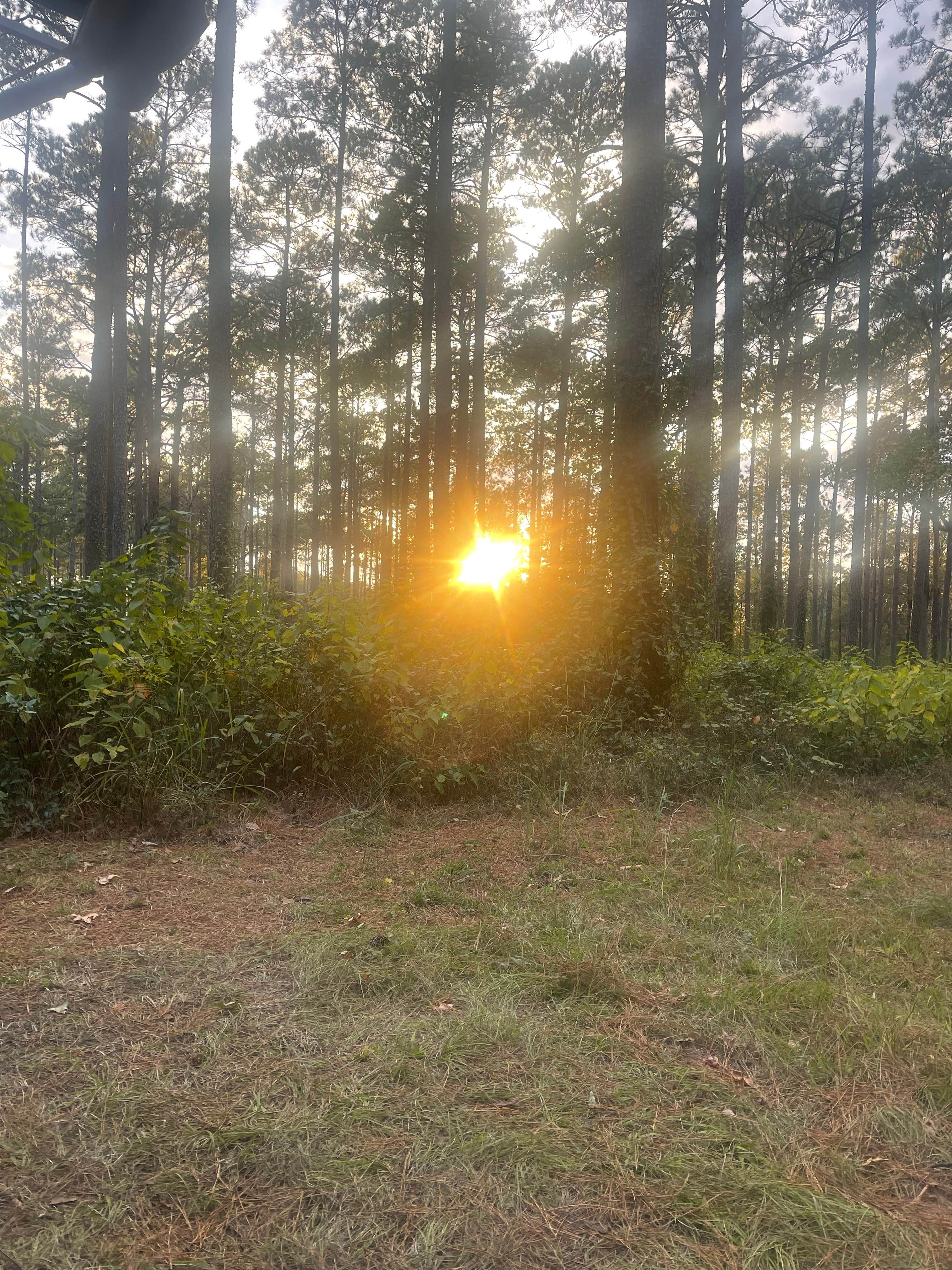 Camper-submitted photo at Coyote Camp near Lecompte, LA