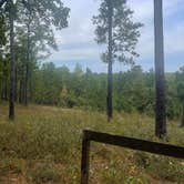 Review photo of Coyote Camp by shawn E., November 2, 2025