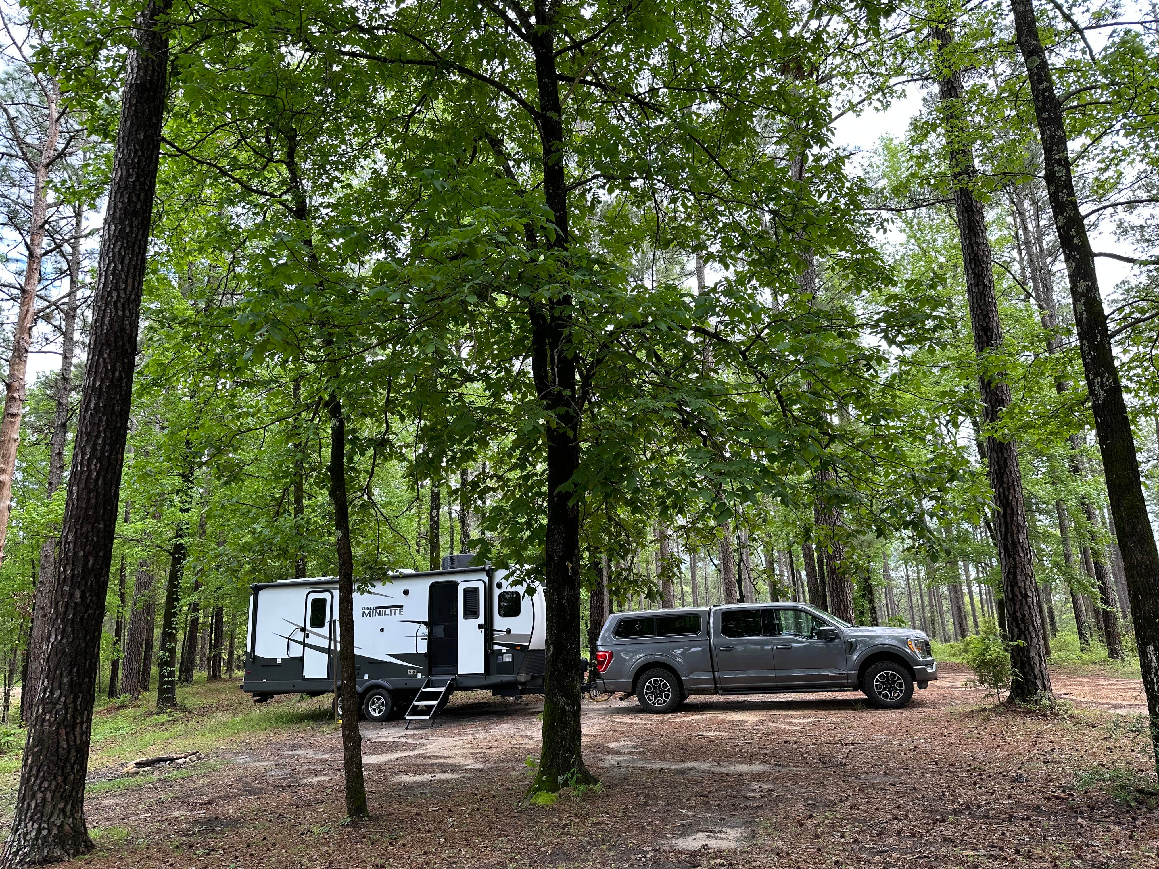 Louisiana Coyote Camp: Where Wilderness Meets Comfort