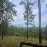 Review photo of Coyote Camp by shawn E., November 2, 2025