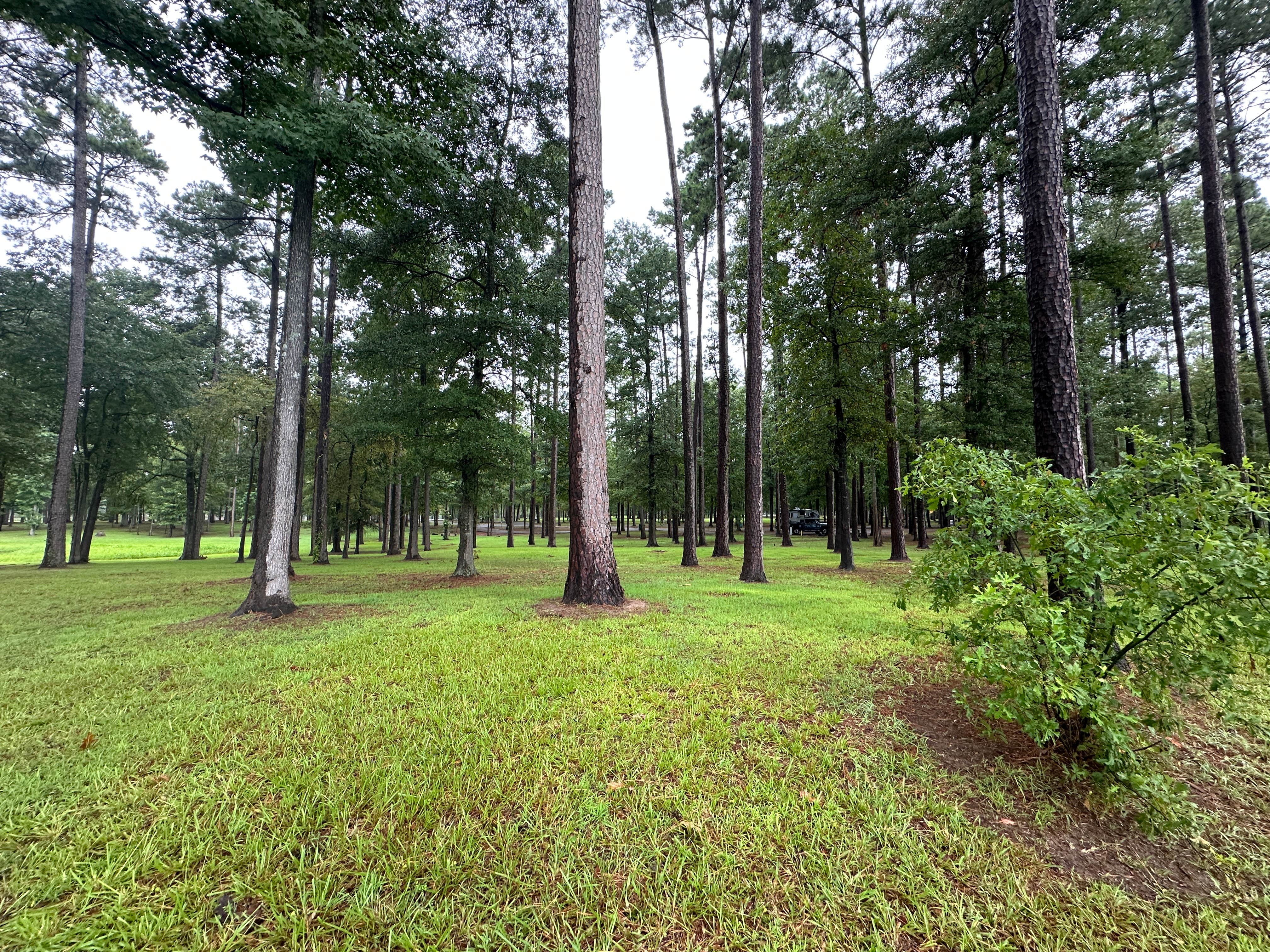 Camper-submitted photo at Cypress Black Bayou Recreation Area near Shreveport, LA
