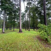 Review photo of Cypress Black Bayou Recreation Area by Briana , July 25, 2024