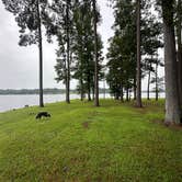 Review photo of Cypress Black Bayou Recreation Area by Briana , July 25, 2024