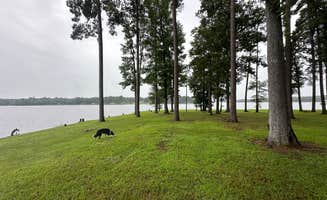Briana's photo of camping with pets at Cypress Black Bayou Recreation Area near Bossier City, LA