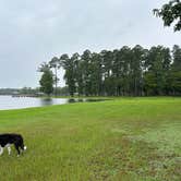 Review photo of Cypress Black Bayou Recreation Area by Briana , July 25, 2024