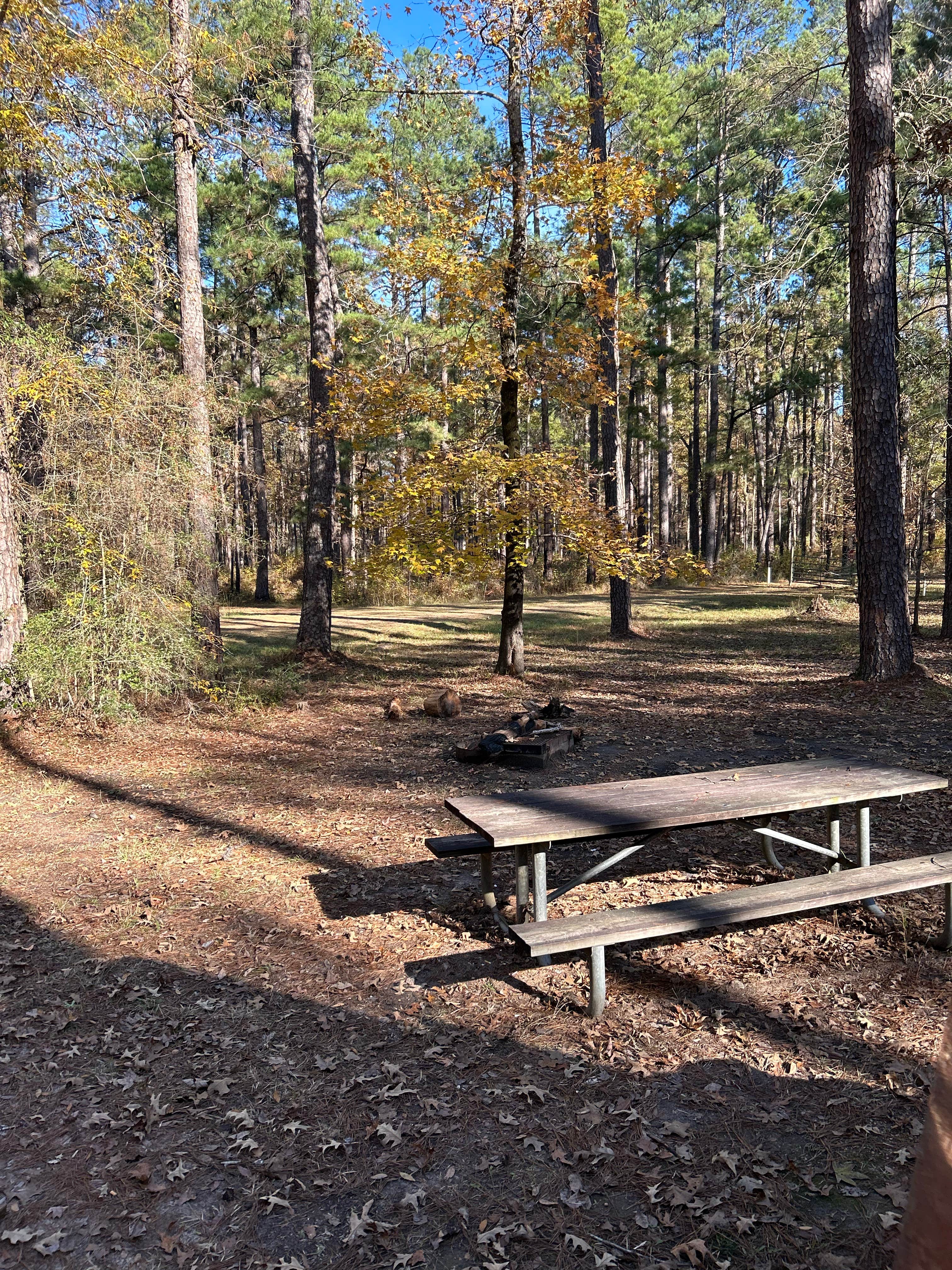 Camper-submitted photo at Dogwood Camp near Anacoco, LA
