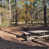 Review photo of Dogwood Camp by Betsy W., December 13, 2024