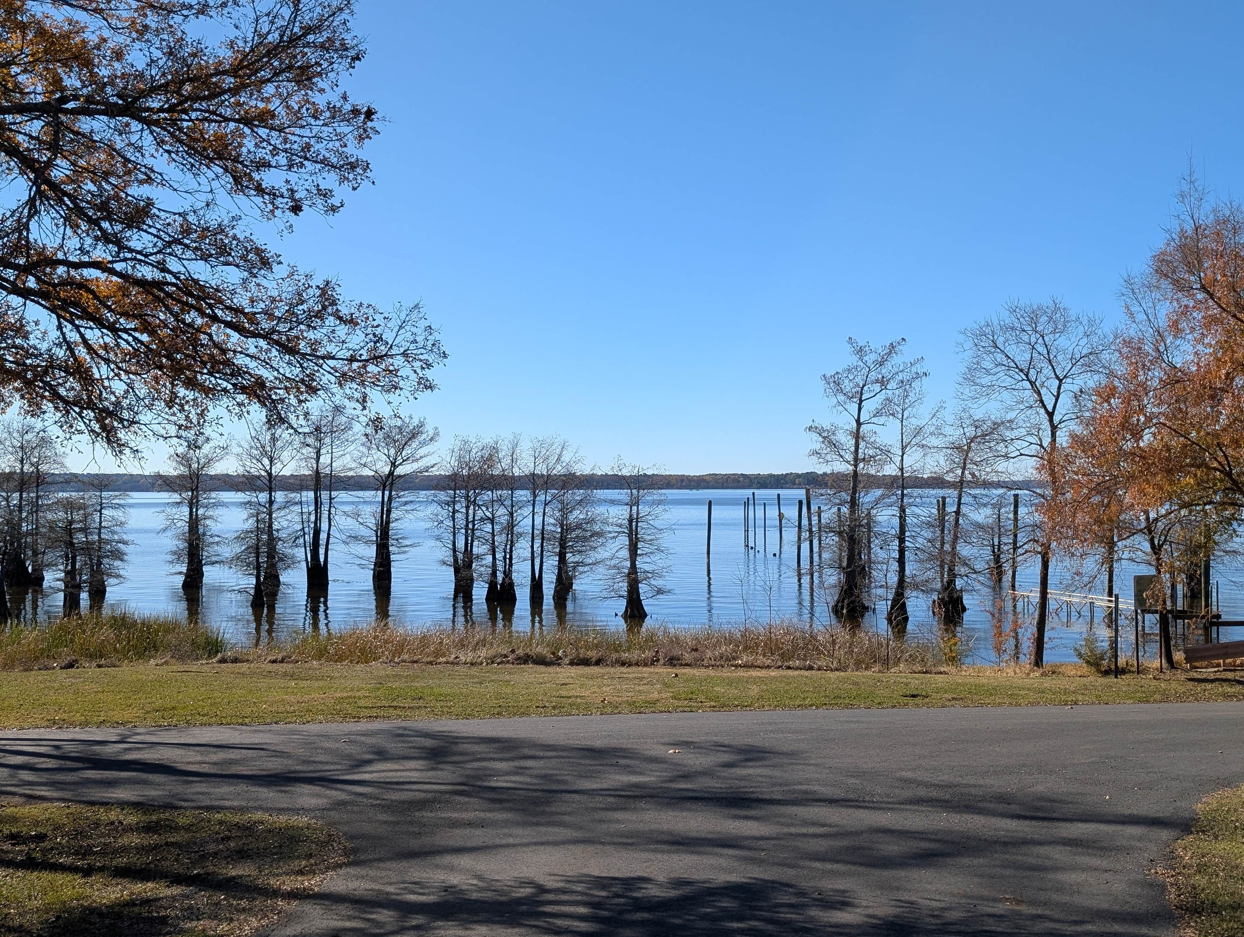 Camper-submitted photo at Earl Williamson Park near Blanchard, LA