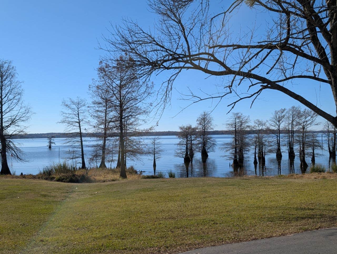 Camper-submitted photo at Earl Williamson Park near Blanchard, LA