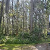 Review photo of Fairview-Riverside State Park by Ursula , March 26, 2026