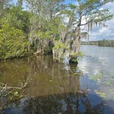 Review photo of Fairview-Riverside State Park by Ursula , March 26, 2026