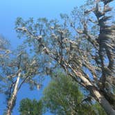 Review photo of Fairview-Riverside State Park by Ursula , March 26, 2026