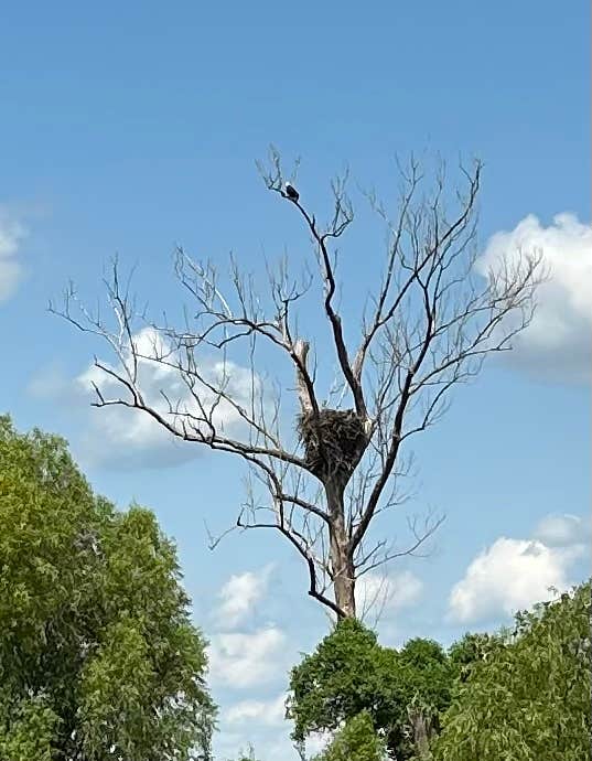 Camper-submitted photo at Farr Park RV Camground near Prairieville, LA