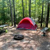 Review photo of Fontainebleau State Park Campground by Megin F., June 7, 2024