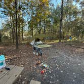 Review photo of Fontainebleau State Park Campground by Taylor C., April 3, 2025