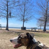 Review photo of Fontainebleau State Park Campground by Greg M., March 8, 2026