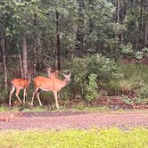 Review photo of Fontainebleau State Park Campground by Megin F., June 7, 2024