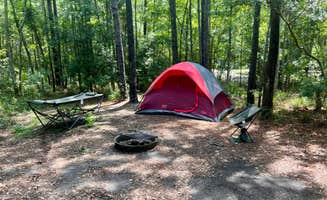 Megin F.'s photo at Fontainebleau State Park Campground near Picayune, MS