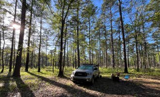Camping near Forest Road 380 Dispersed: Highway 472 Camp, Winnfield, Louisiana