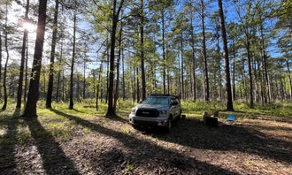 Camping near Military Park Camp Beauregard Twin Lakes Recreation Area: Highway 472 Camp, Winnfield, Louisiana