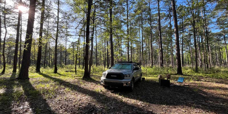 Camper submitted image from Highway 472 Camp