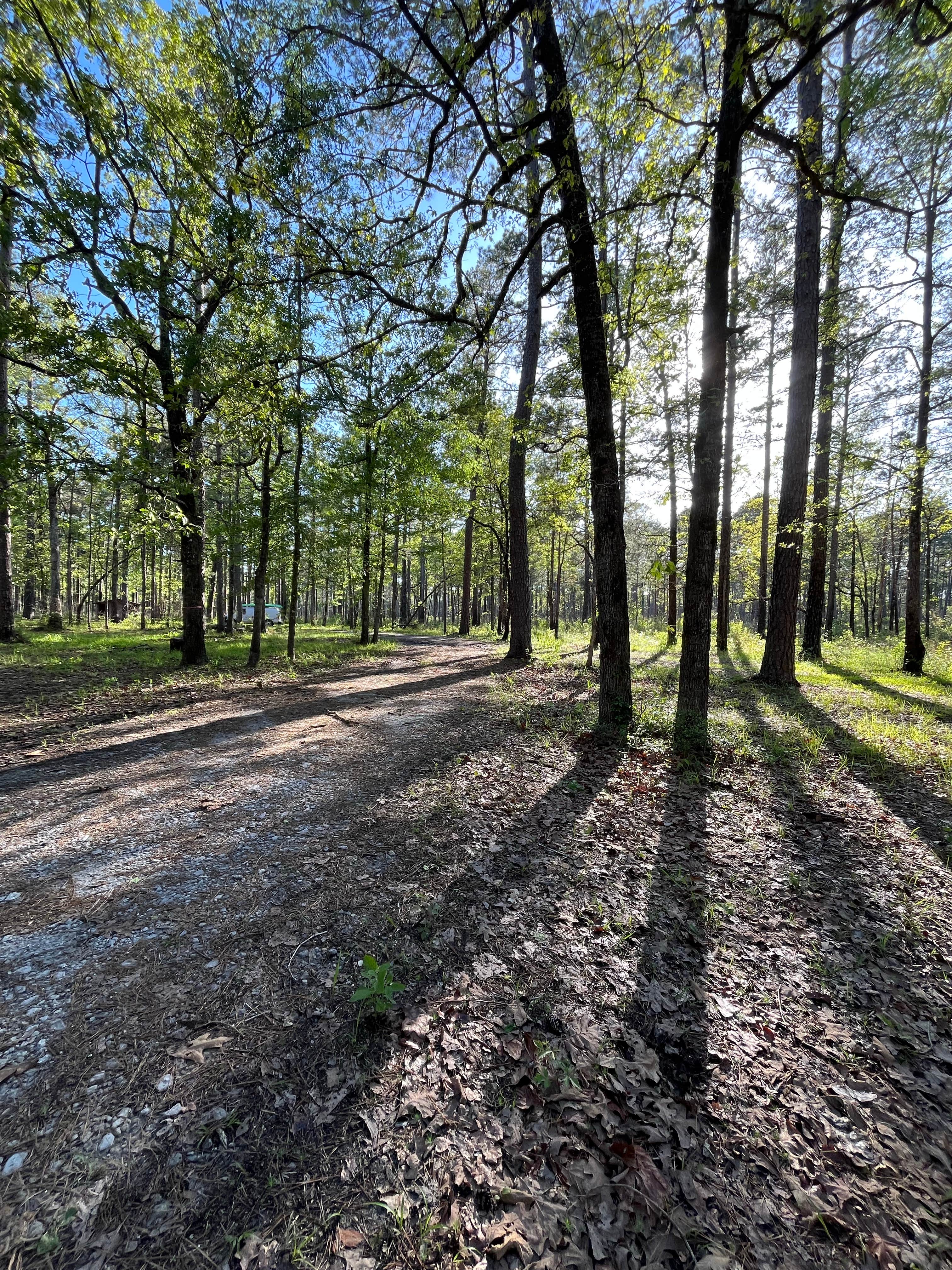 Camper-submitted photo at Highway 472 Camp near Rhinehart, LA