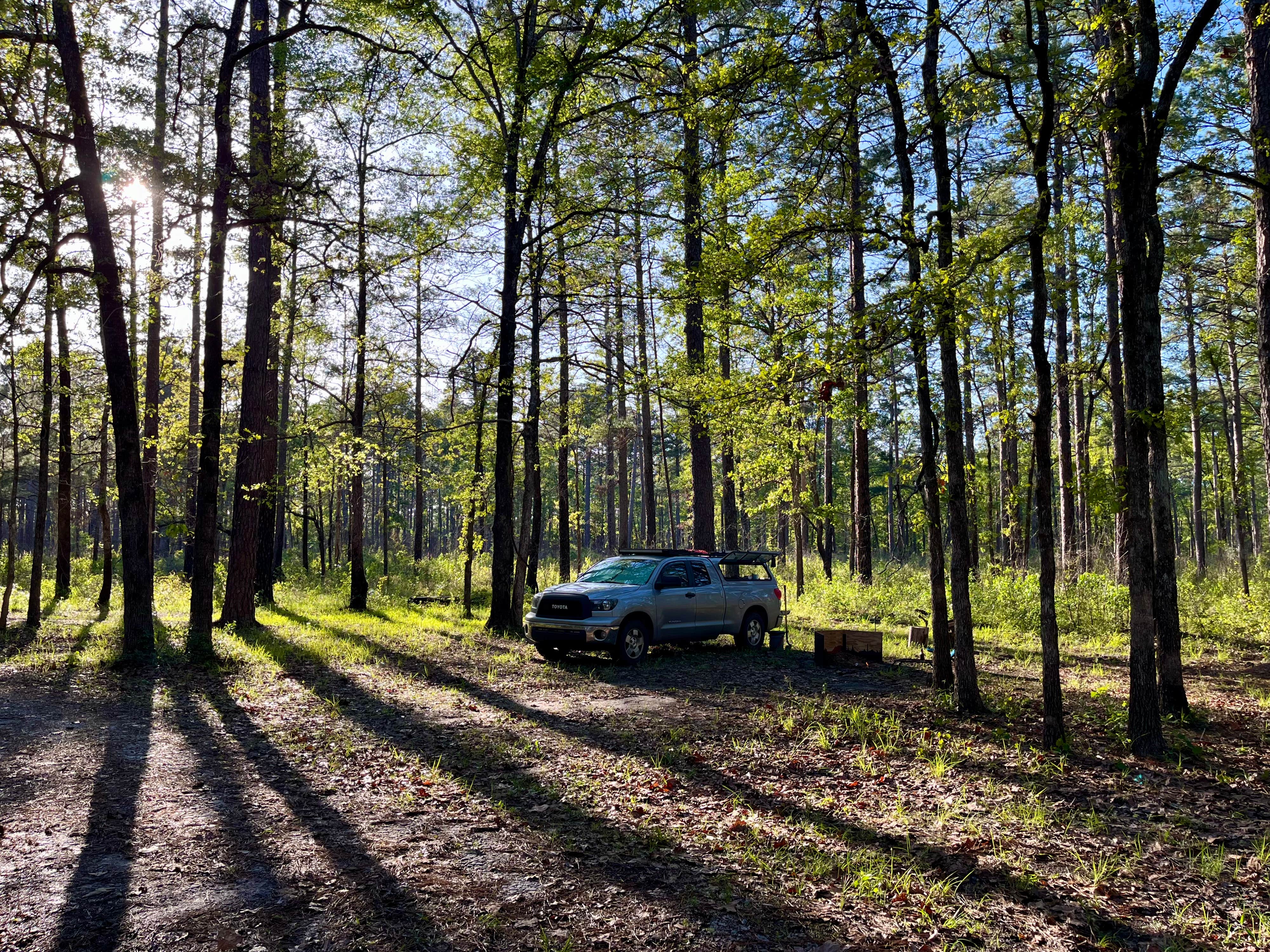 Camper-submitted photo at Highway 472 Camp near Rhinehart, LA