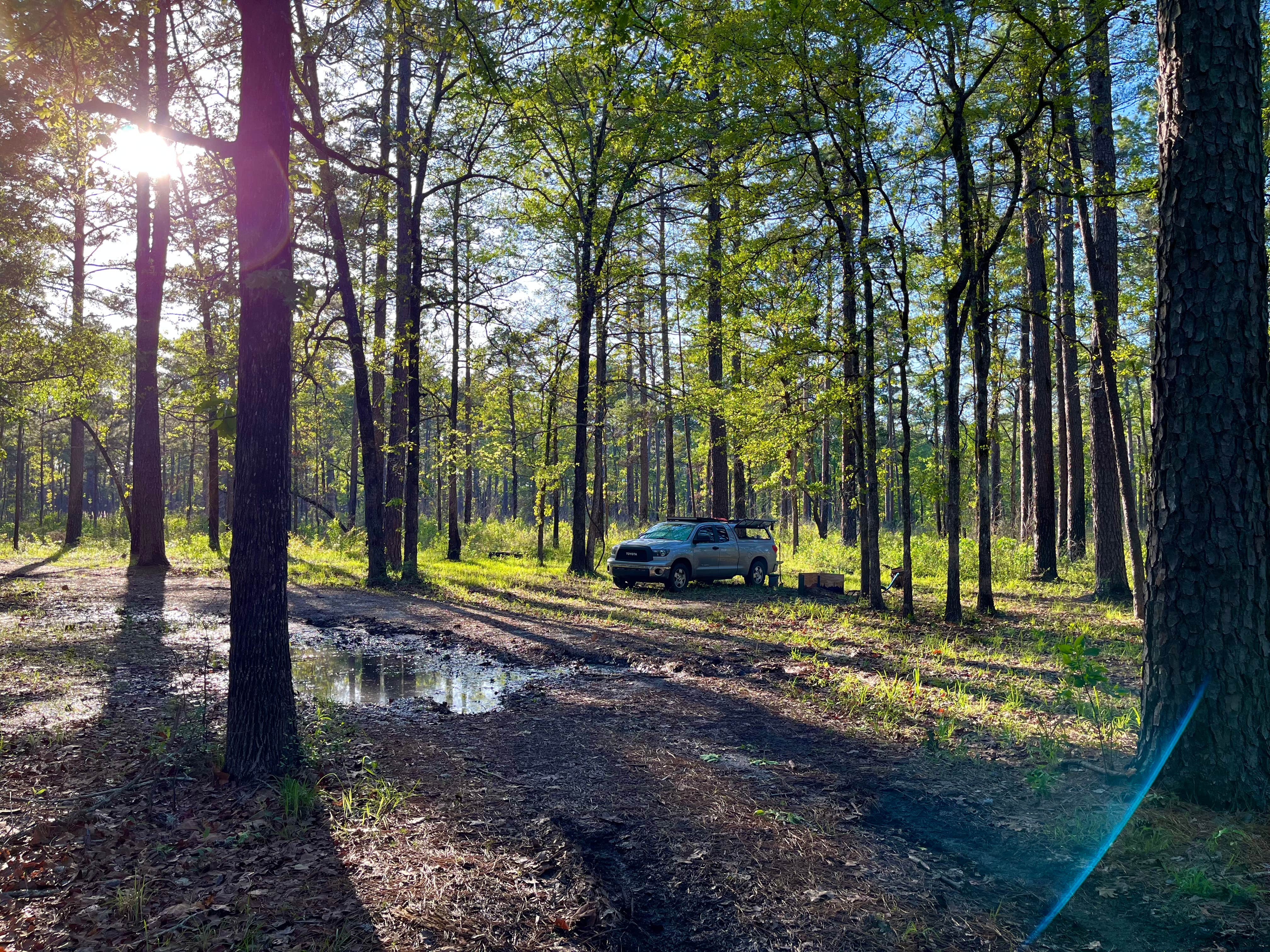 Camper-submitted photo at Highway 472 Camp near Rhinehart, LA