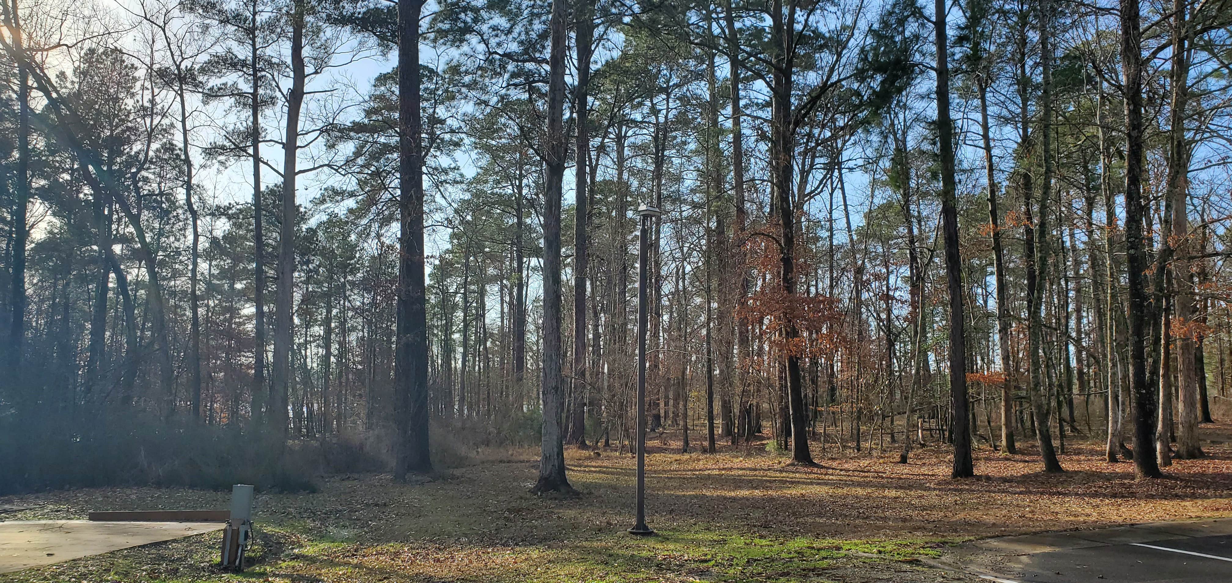 Camper-submitted photo at Jimmie Davis State Park Campground near Homer, LA