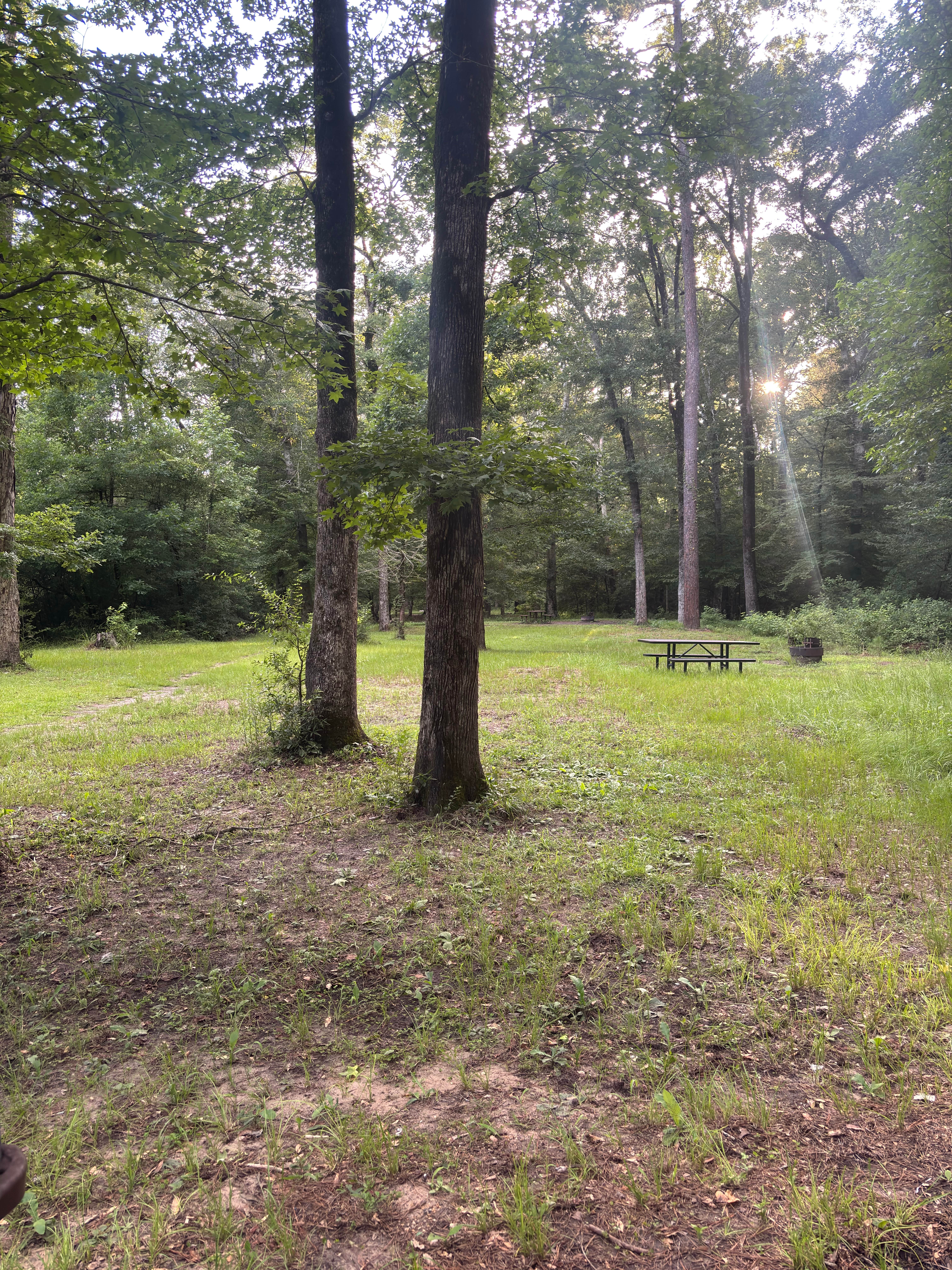 Camper-submitted photo at Kisatchie Bayou Complex near Anacoco, LA