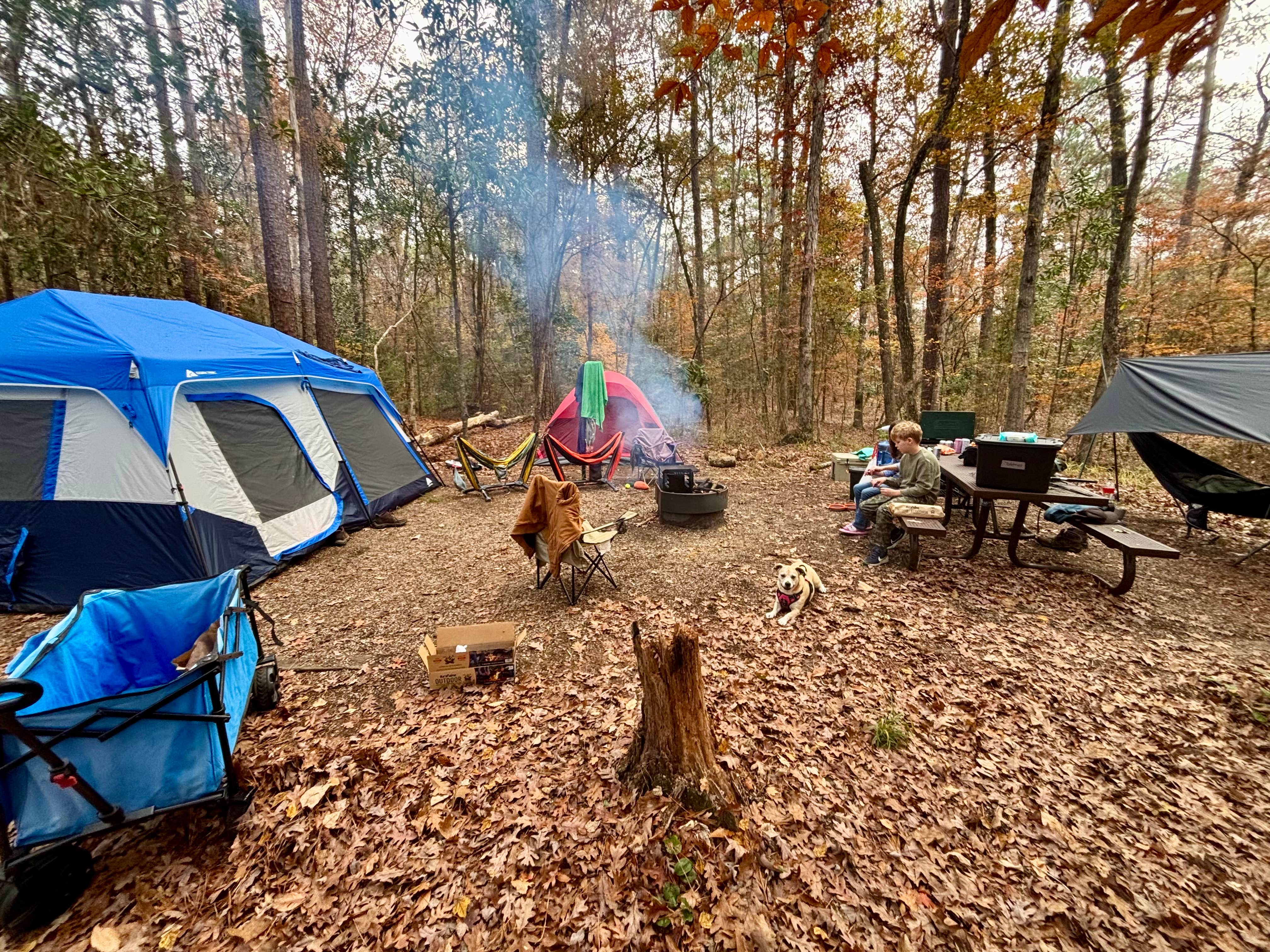 Camper-submitted photo at Kisatchie Bayou Complex near Hemphill, TX