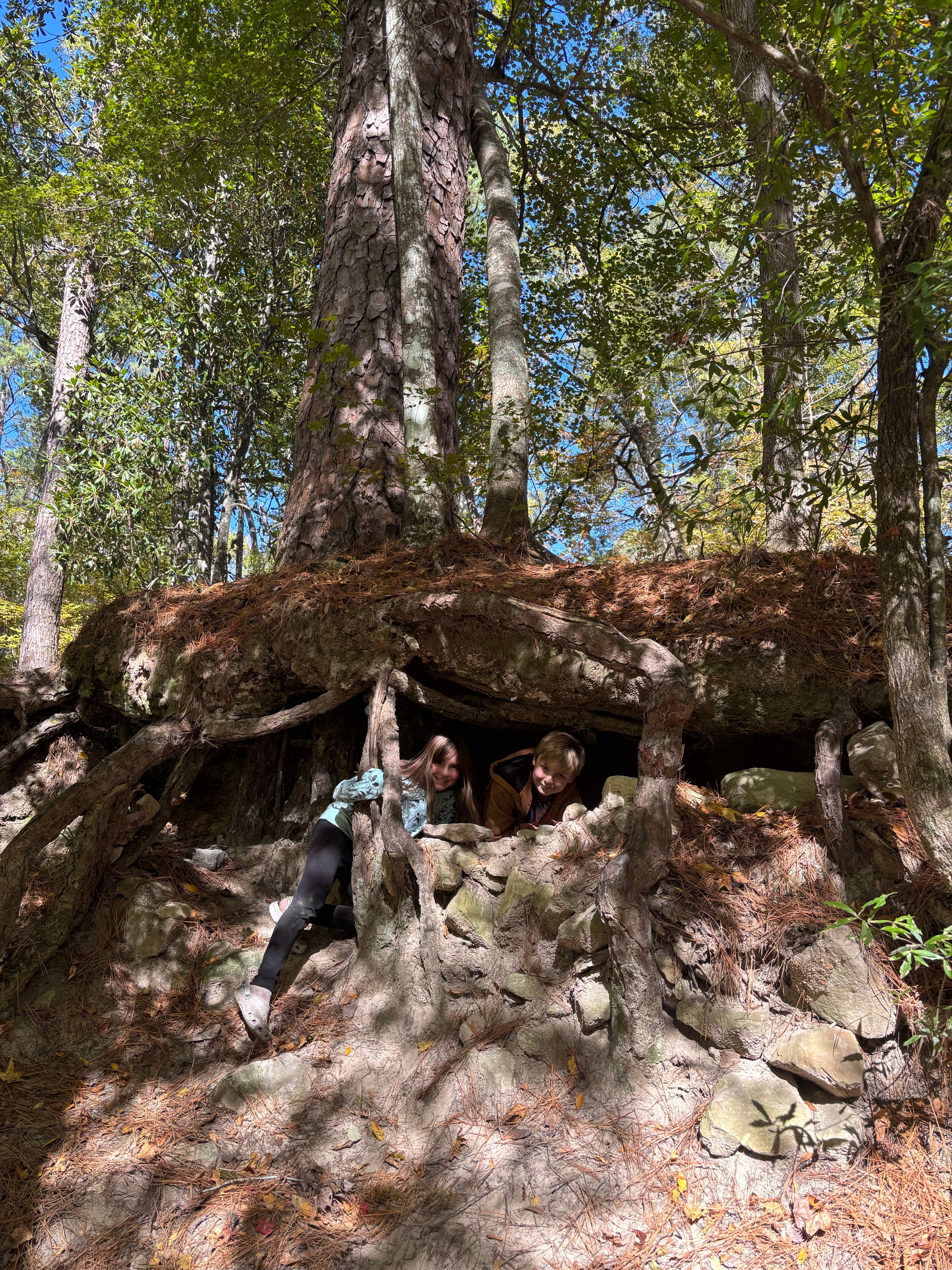 Camper-submitted photo at Kisatchie Bayou Complex near Hemphill, TX