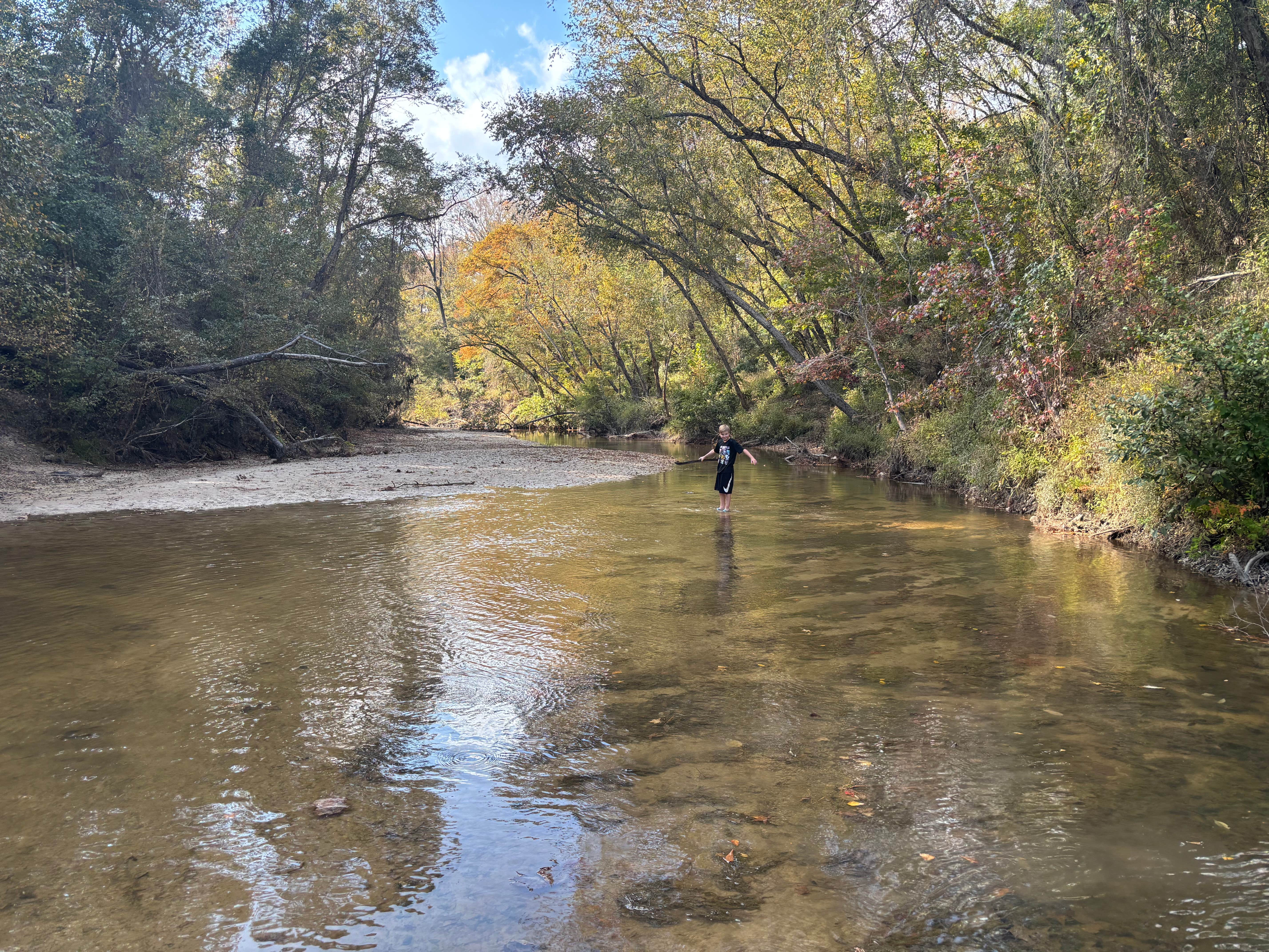 Camper-submitted photo at Kisatchie Bayou Complex near Hemphill, TX