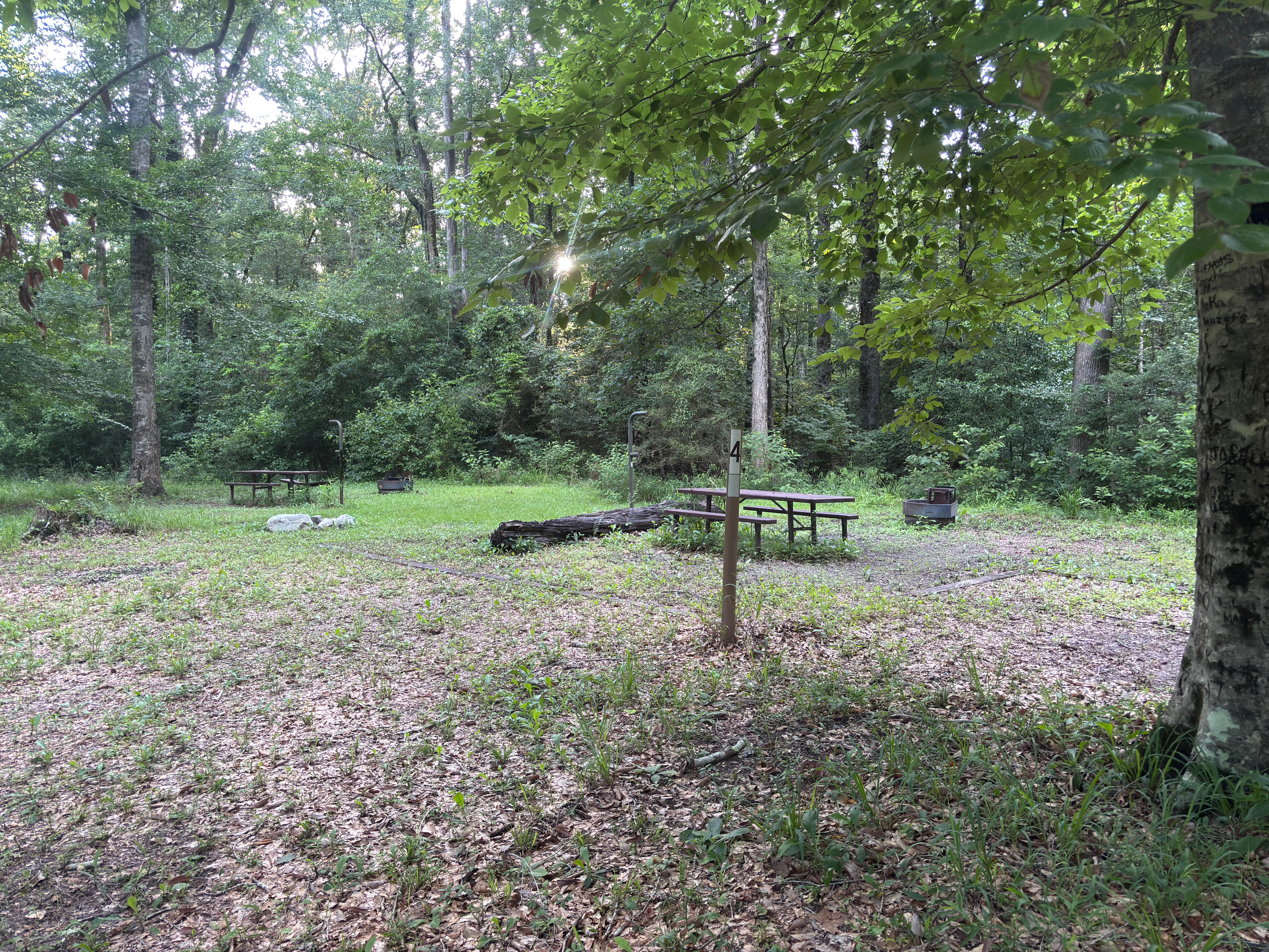 Camper-submitted photo at Kisatchie Bayou Complex near Anacoco, LA