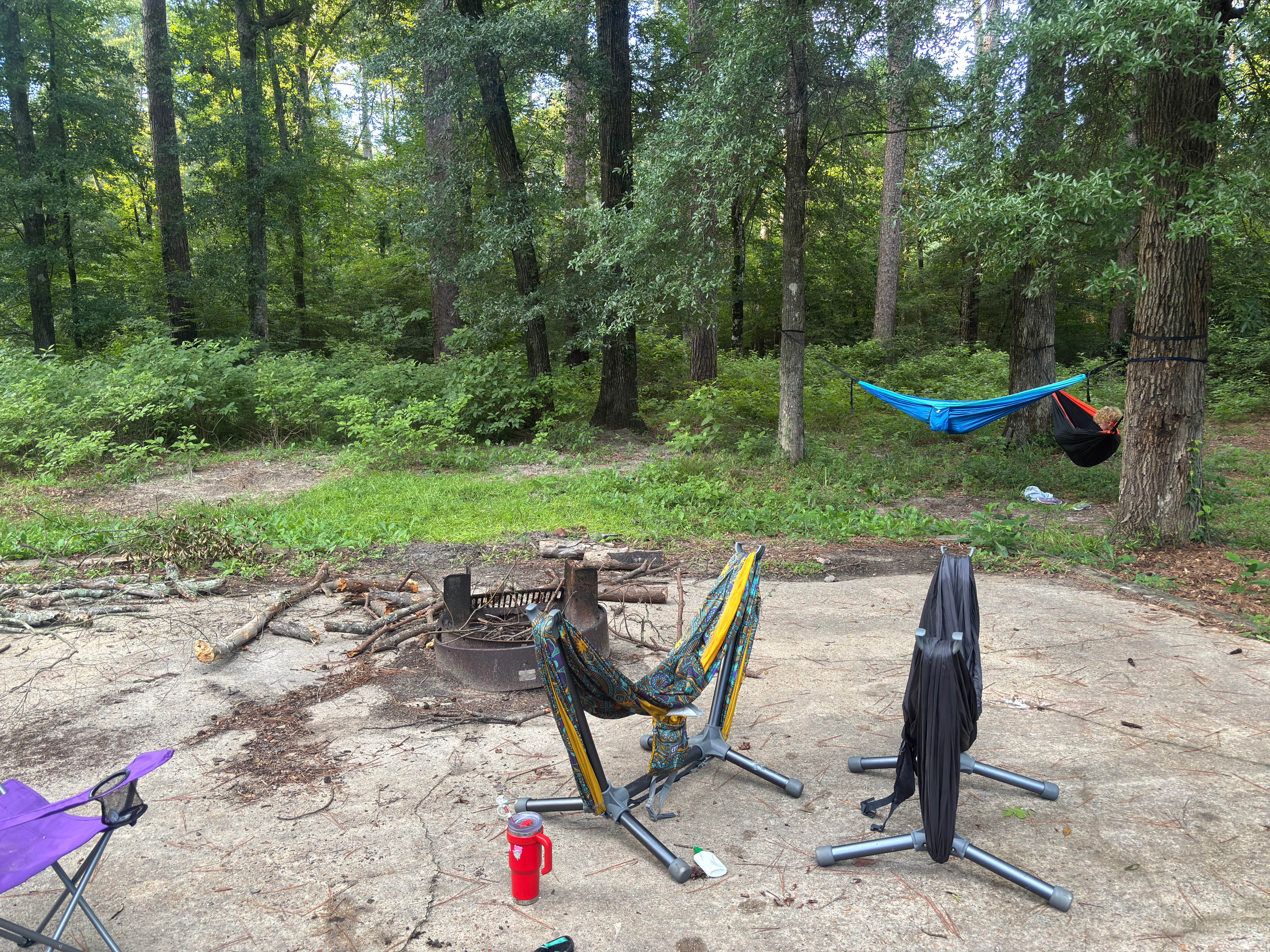 Camper-submitted photo at Kisatchie Bayou Complex near Anacoco, LA