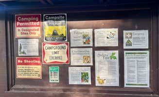 Marcie P.'s photo of camping with pets at Kisatchie Bayou Complex near Mora, LA
