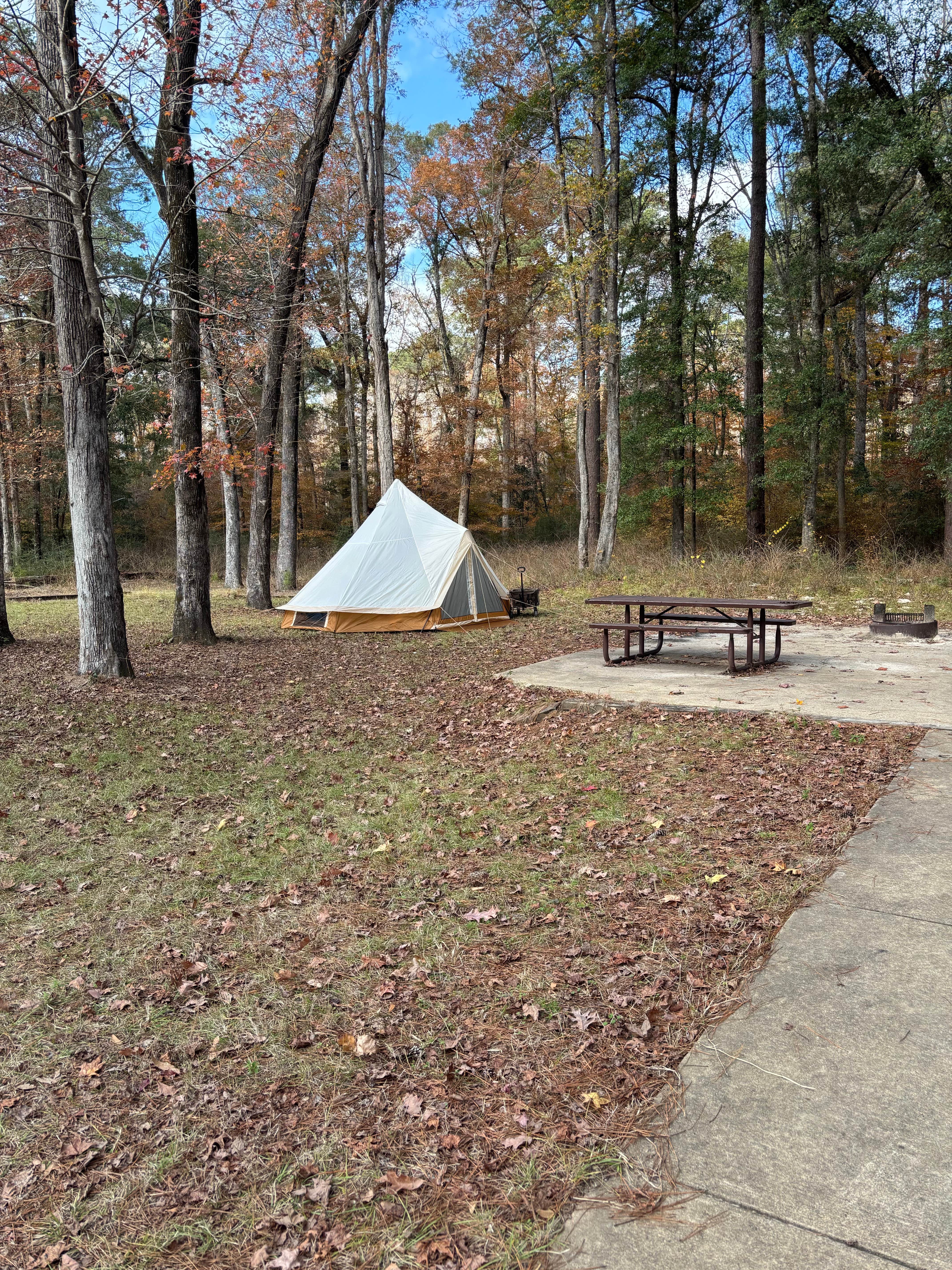 Marcie P.'s photo of tent camping at Kisatchie Bayou Complex near Hemphill, TX
