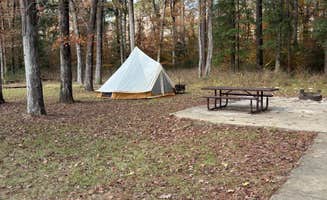 Marcie P.'s photo at Kisatchie Bayou Complex near Elmer, LA