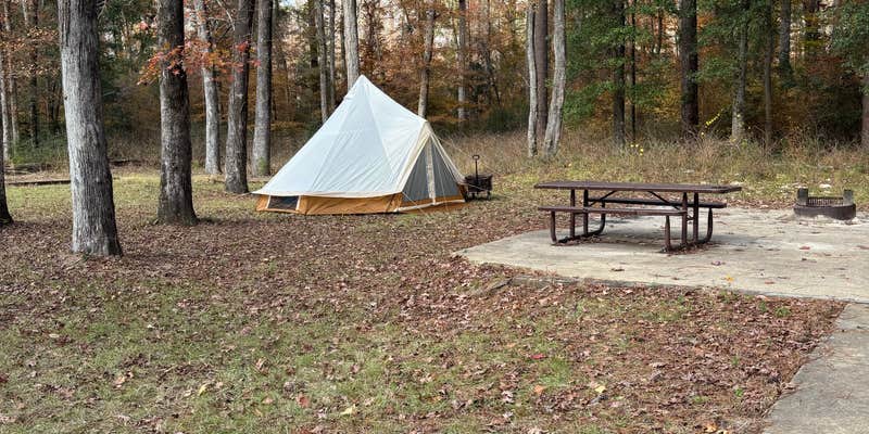 Camper submitted image from Kisatchie Bayou Complex